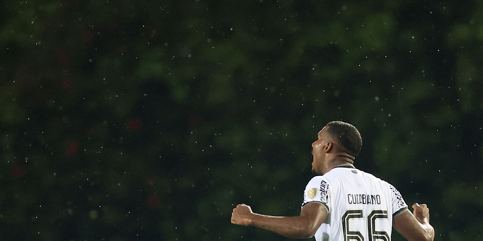 Botafogo e Estudiantes se enfrentam pela Libertadores nesta quarta