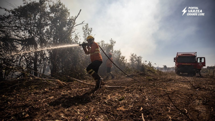  ForestFire: Congresso Internacional de Incêndios Florestais reúne especialistas de 10 países em Cuiabá e recebe apoio da Famato