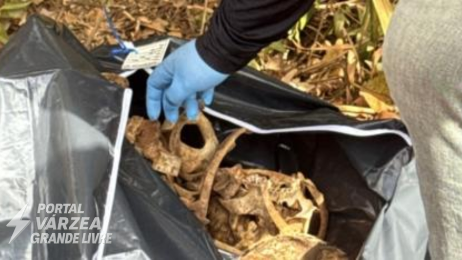 Ossada humana é encontrada em estrada vicinal de Várzea Grande