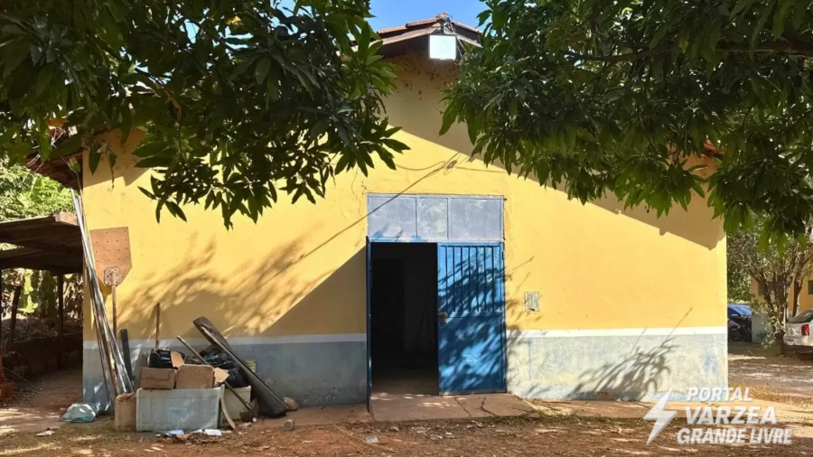 Quatro cães morrem em abrigo improvisado da Bem-Estar Animal em Cuiabá; caso gera polêmica e investigação